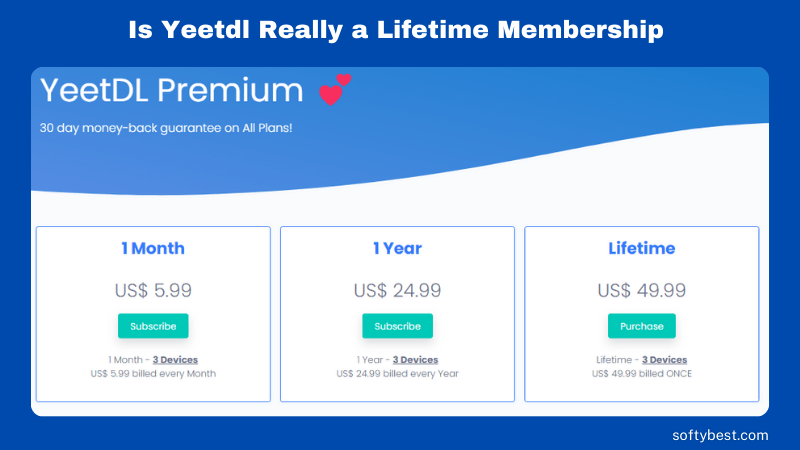 Is Yeetdl Really a Lifetime Membership