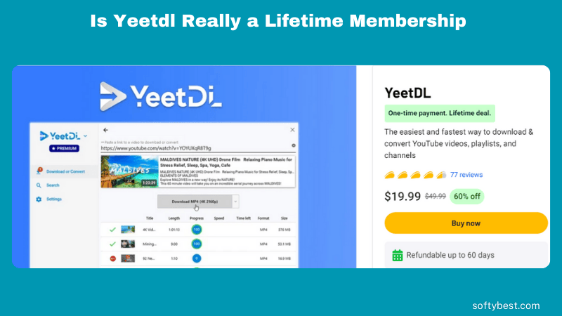 Is Yeetdl Really a Lifetime Membership