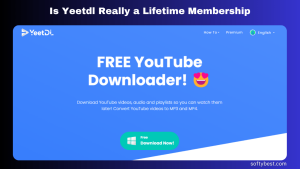 Is Yeetdl Really a Lifetime Membership