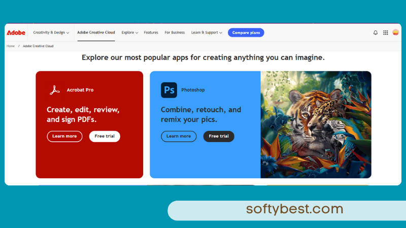 Best Editing Software Company