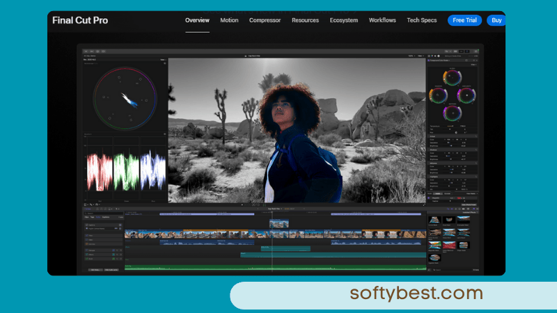 Best Editing Software Company