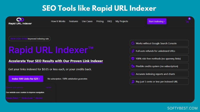 SEO Tools like Rapid URL Indexer 